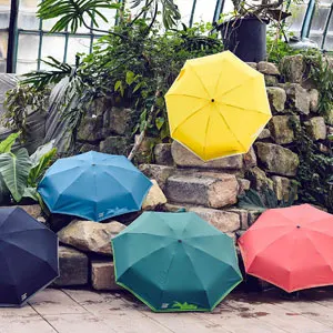 Parapluie marque